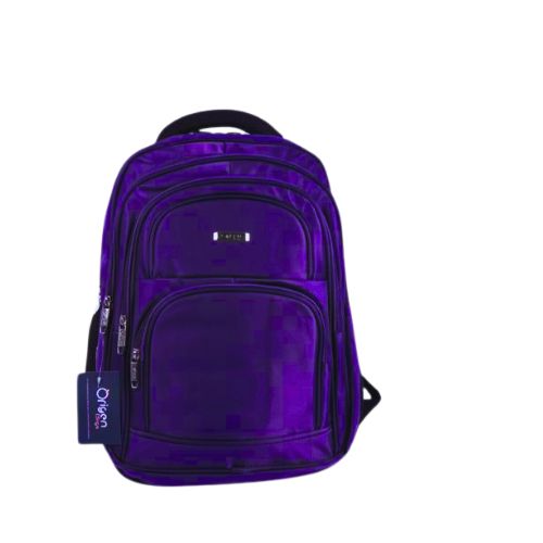 BOLSO 1